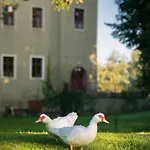 Zamek