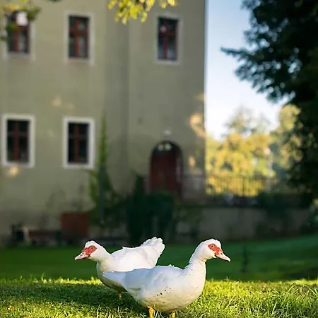 Zamek Aparthotel Dobroszyce